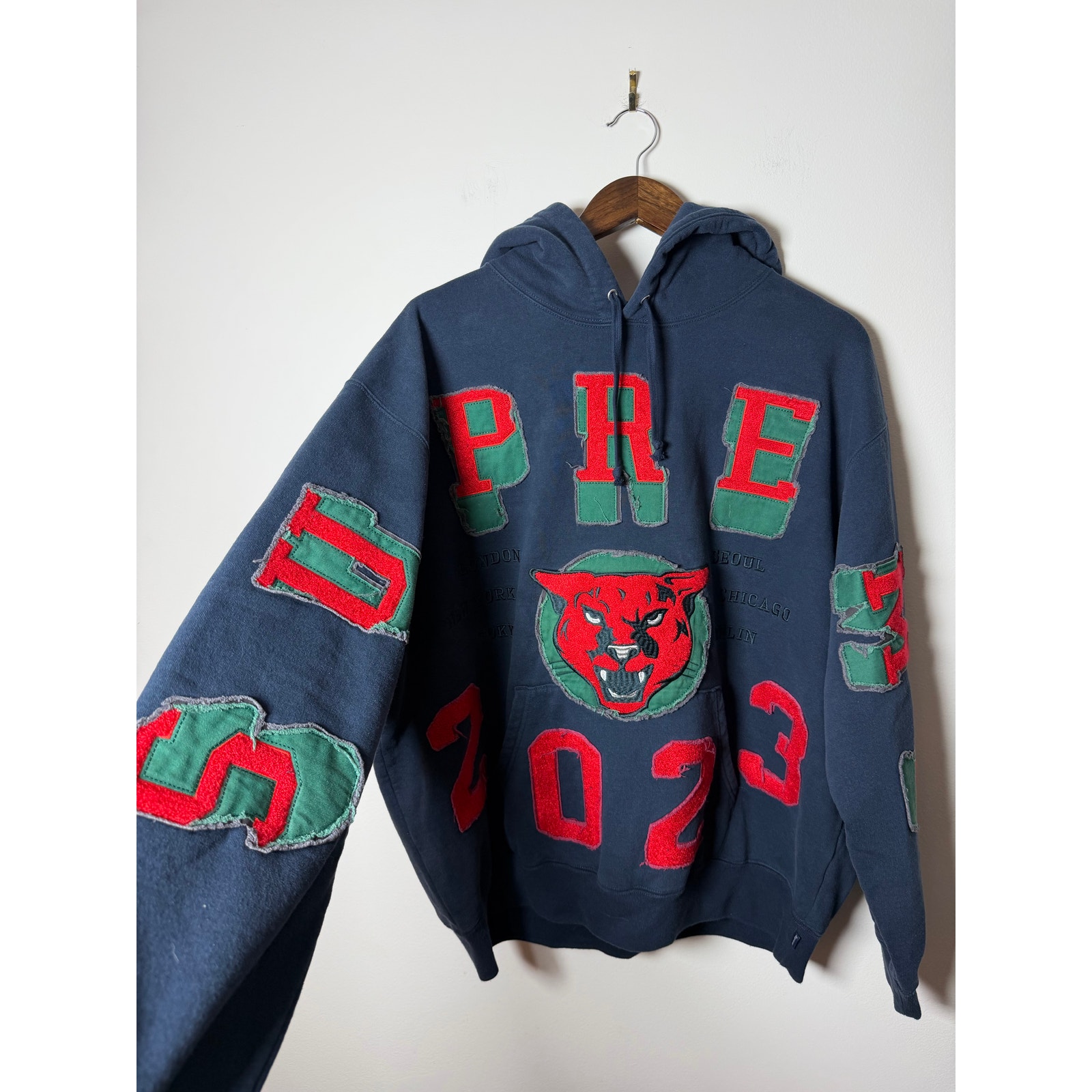 Supreme Washed Panther Hooded Sweatshirt